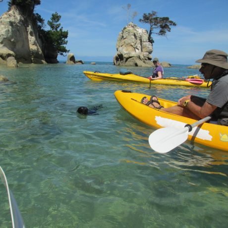 Kayak and seal