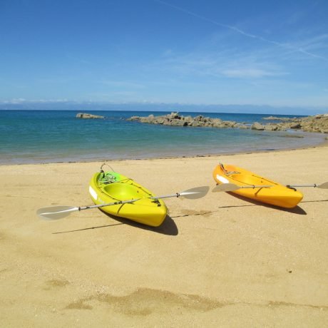 kayaks