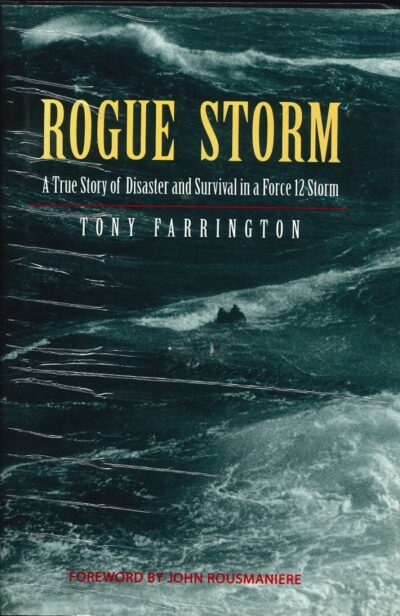 ROGUE STORM