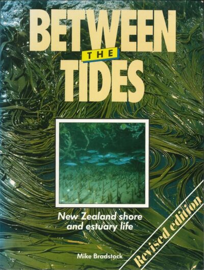 BETWEEN THE TIDES