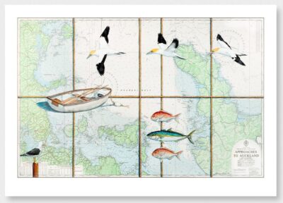 HAURAKI GULF GANNETS LIMITED EDITION PRINT