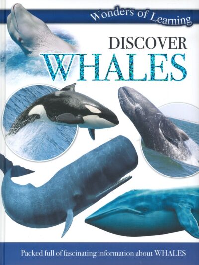 DISCOVER WHALES
