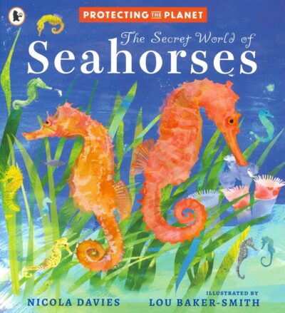 THE SECRET WORLD OF SEAHORSES