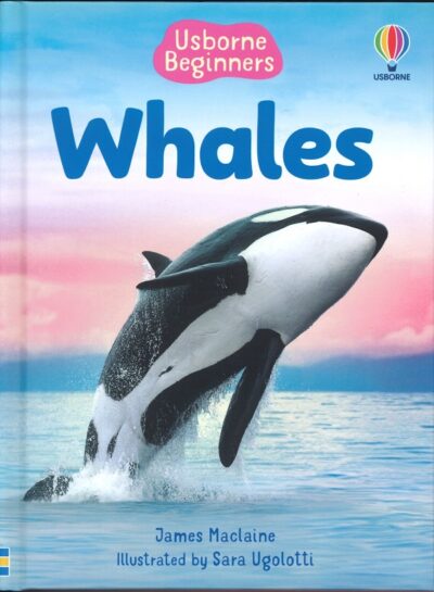 BEGINNERS WHALES