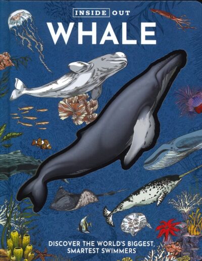 INSIDE OUT WHALE