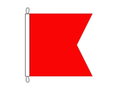 BRAVO FLAG -