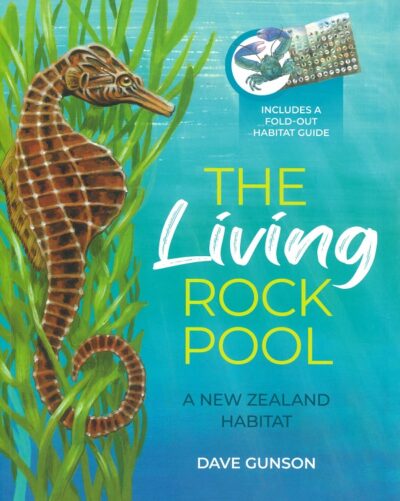 THE LIVING ROCKPOOL
