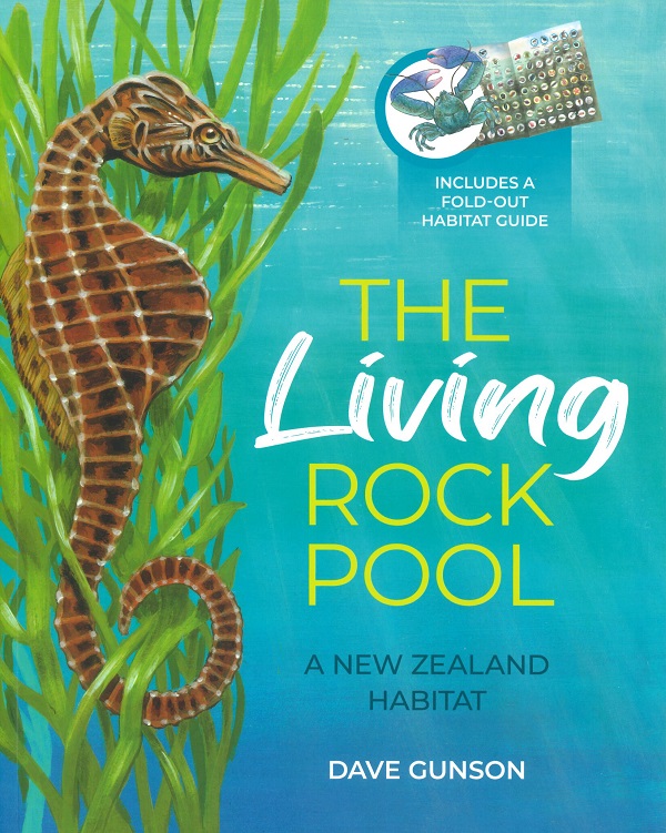 THE LIVING ROCKPOOL