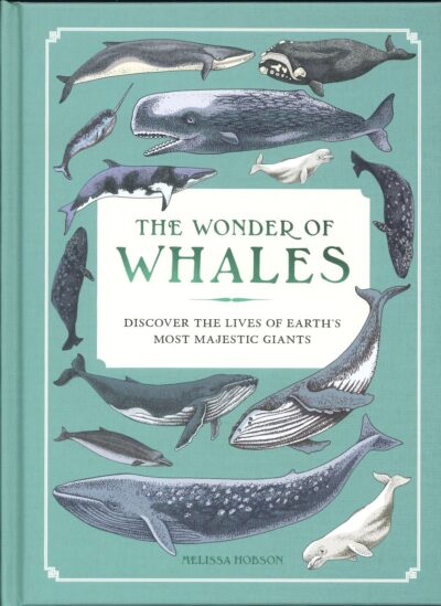 THE WONDER OF WHALES